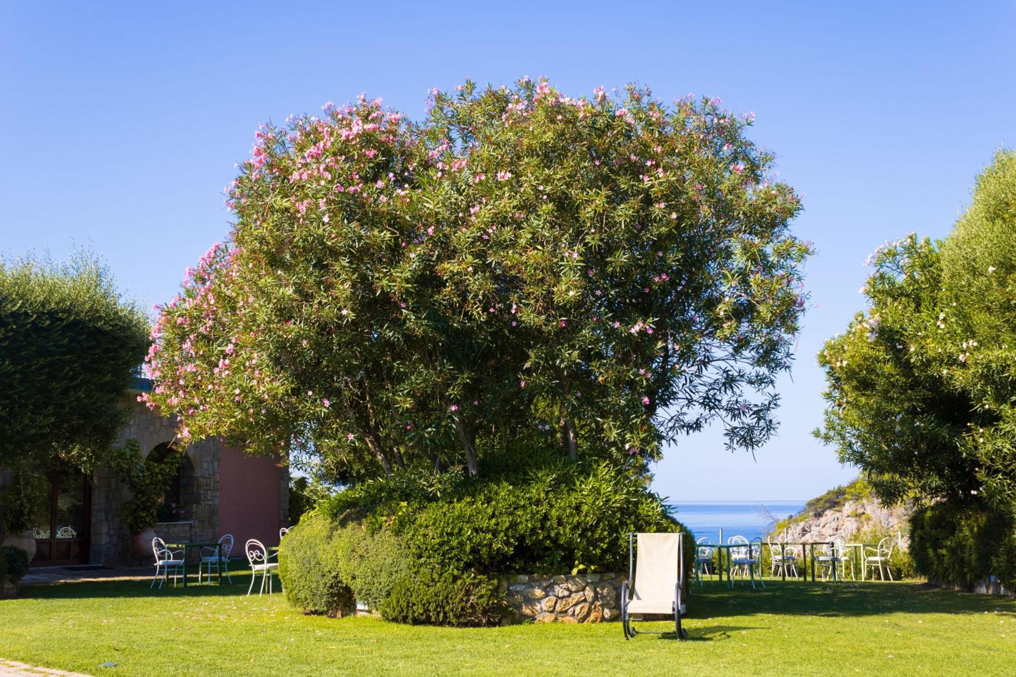 Hotel Capo D'Uomo Orbetello Zewnętrze zdjęcie